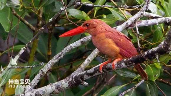 2023042612612950.jpg bf4f97ddd100baa157b9e36f4c10b912cafc2ec4_九雷图片转换器.jpg