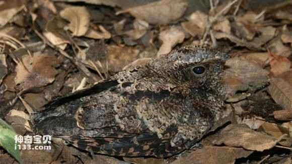 2023041811958762.jpg 98ebc6004c086e06398b6e990b087bf40bd1cbb0_九雷图片转换器.jpg