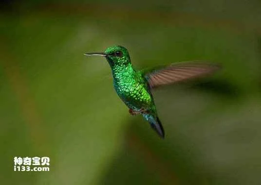 1679408917102336.jpg 908fa0ec08fa513d1161afcf396d55fbb3fbd9dc_九雷图片转换器.jpg