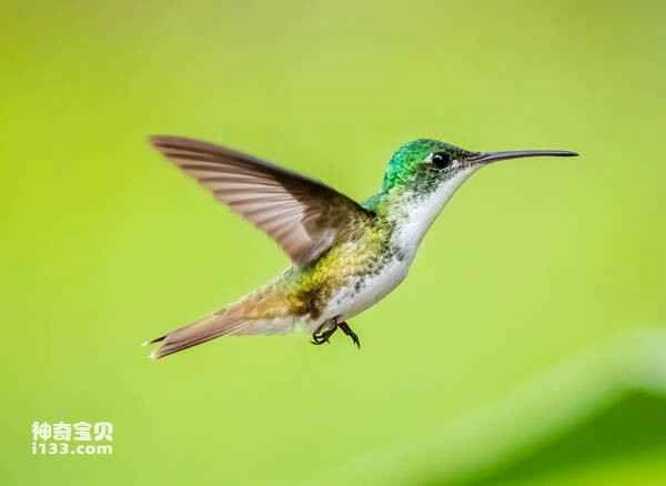 2023040613152627.jpg 3f2d73955f823180acc48824e7110d58_九雷图片转换器.jpg