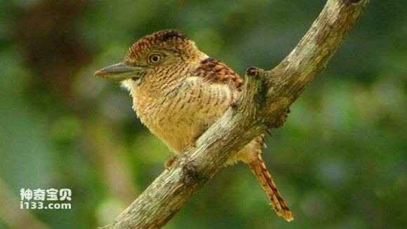 2023050952607636.jpg 070df12e0708283852a0ddd5b299a9014d08f131_九雷图片转换器.jpg