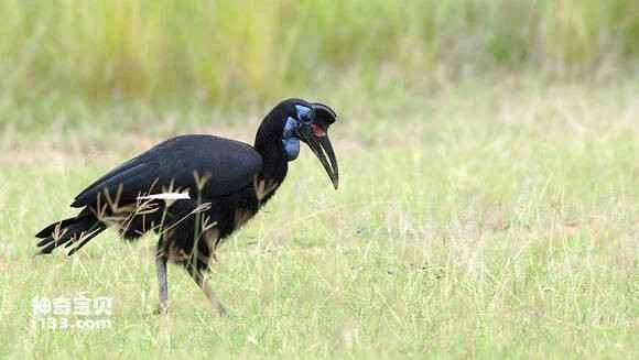 2023050214145953.jpg 6ae29902738da9778a220a75bd51f8198718e3d7_九雷图片转换器.jpg