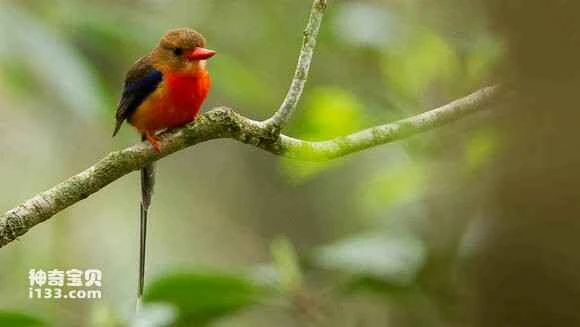 2023042522442452.jpg 2c41e845ebf81a4c8d300e19dc2a6059242da650_九雷图片转换器.jpg