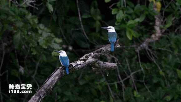 2023042971171949.jpg f1bac887c9177f3ea24195787dcf3bc79e3d56c5_九雷图片转换器.jpg