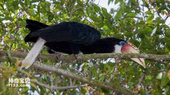 2023050678154510.jpg d771fe8ea0ec08fae856fd8057ee3d6d55fbda33_九雷图片转换器.jpg