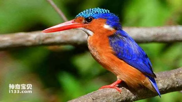 2023043015072134.jpg 84b0121fd21b0ef4c5aff635d0c451da80cb3e8d_九雷图片转换器.jpg