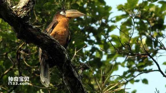 2023050619367815.jpg bcf0be59ccbf6c81ca6fddd5b23eb13533fa4022_九雷图片转换器.jpg