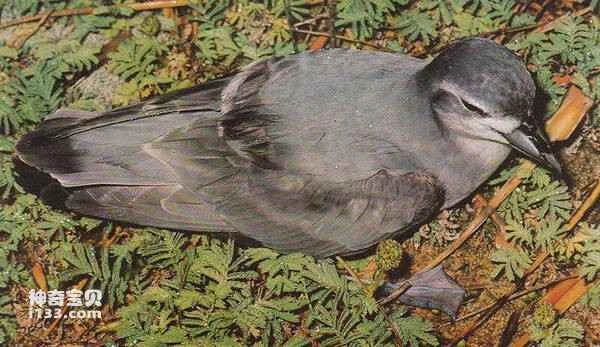 2023031417891114.jpg 041719483019536_九雷图片转换器.jpg