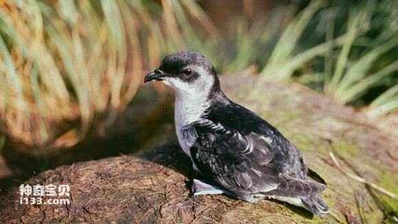 2023031611718029.jpg db9fc465034f78f0b96ea03272310a55b2191c78_九雷图片转换器.jpg