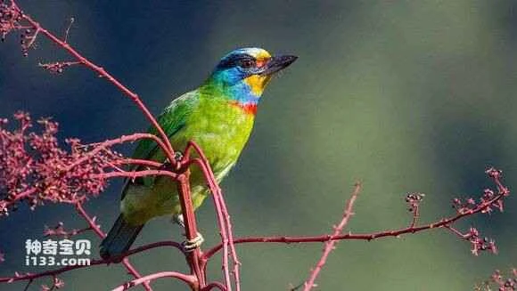 2023051712735139.jpg 014dd70f7bec54e79d1d132ab2389b504ec26a80_九雷图片转换器.jpg