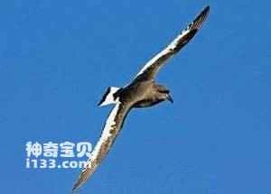 2023031217267637.jpg d50735fae6cd7b89023531a1052442a7d9330eb2_九雷图片转换器.jpg