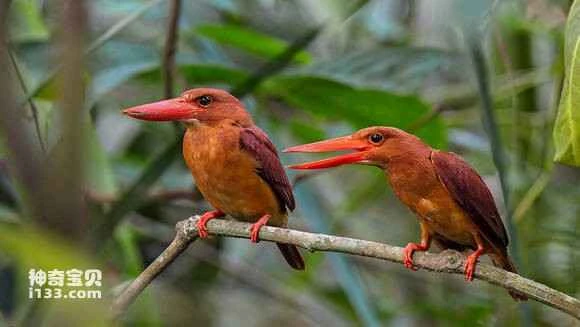 2023042645110242.jpg 567b2437acaf2eddee64ed3d861001e93b0193c4_九雷图片转换器.jpg