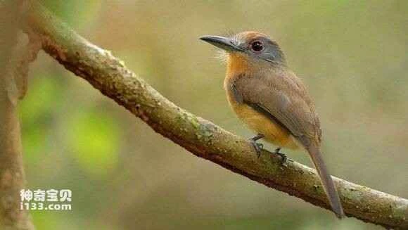 2023051130950506.jpg 056dfacbd1c8a78629763dcf6d09c93d71cf5002_九雷图片转换器.jpg