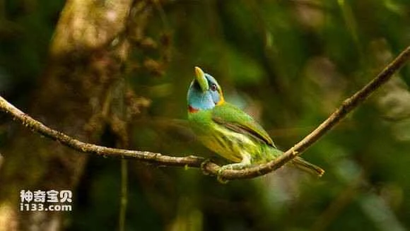 2023051218664080.jpg 5bfbf1500fb30f2484d750c0c295d143ac4b0313_九雷图片转换器.jpg