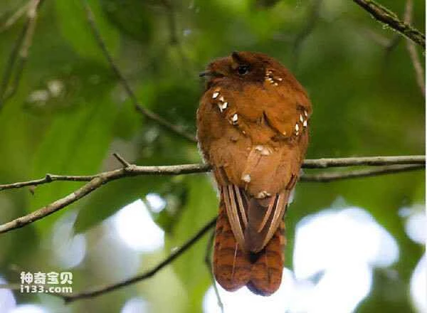 2023041319954912.jpg ea359ef03ae128ad7cc79fc635729c78_九雷图片转换器.jpg