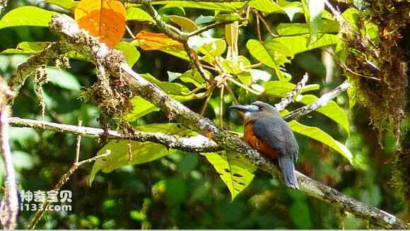 2023051139974651.jpg 799c526c55fbb2fb5d40edd1454a20a44723dc79_九雷图片转换器.jpg