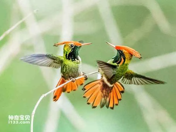 2023040591213487.jpg 38bb2fddb21507ba434db0c3ce453e8e_九雷图片转换器.jpg