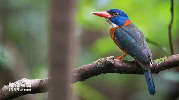 2023042462279900.jpg 158889cc7b899e51df8273fb49a7d933c9950d40_九雷图片转换器.jpg