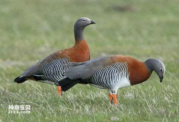 2023030429236308.jpg 9600483b2a514129f4b35b44b5789a4e_九雷图片转换器.jpg