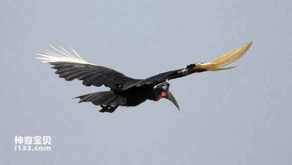 2023050215440547.jpg 35bc59d2d539b6003df683e9e450352ac65cb723_九雷图片转换器.jpg