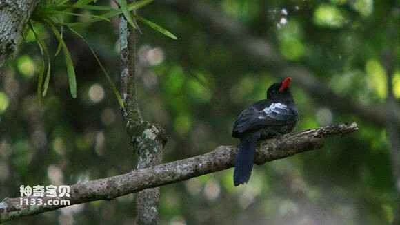 2023051159592090.jpg a1b956dab6fd526614ac89d7a118972bd60736e5_九雷图片转换器.jpg