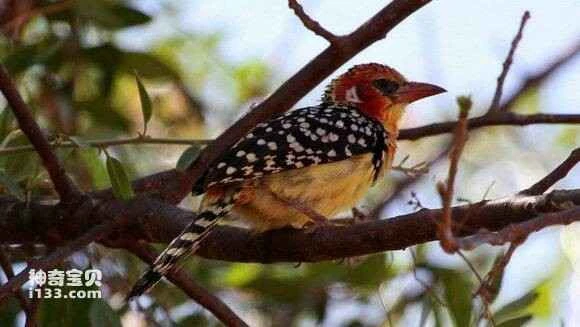 2023051516045956.jpg c956d798a9014c084af37f62007b020879f4f4a4_九雷图片转换器.jpg