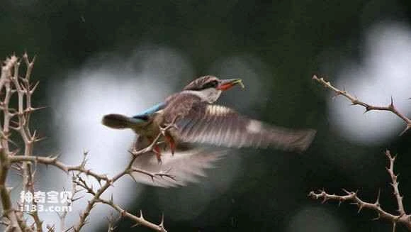 2023042713705501.jpg 014dd70f7bec54e71d2e93cab2389b504dc26a93_九雷图片转换器.jpg