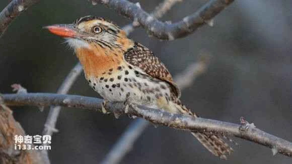 2023050914066528.jpg a5478adce71190efcde4901ec41b9d16fcfa6043_九雷图片转换器.jpg