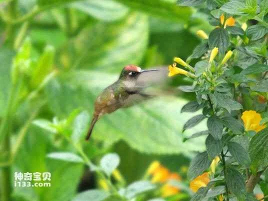 2023032315564058.jpg 728da9773912b31bea0f53078218367adab4e1b9_九雷图片转换器.jpg