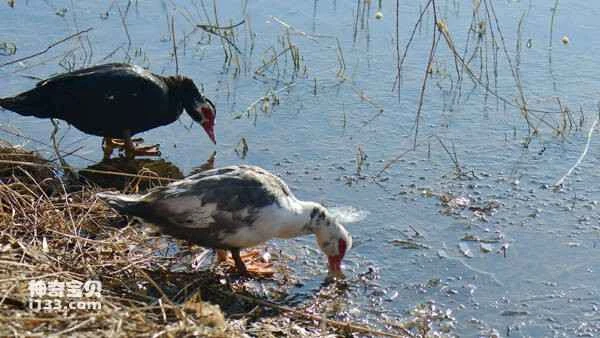 2023030311787443.jpg e56efa25d6ae0f36e93bf2cc8824c6a3_九雷图片转换器.jpg