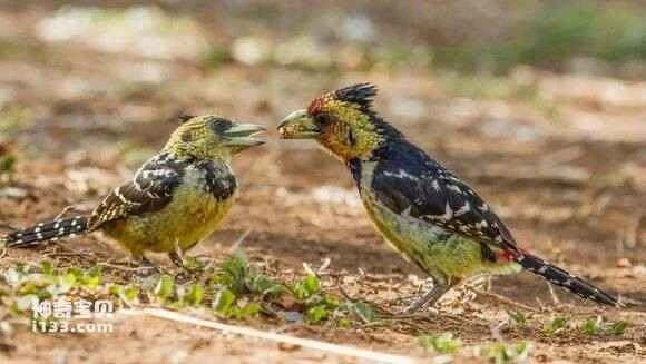 2023051586068457.jpg c6bf14889e510fb3e3132050d333c895d0430c66_九雷图片转换器.jpg