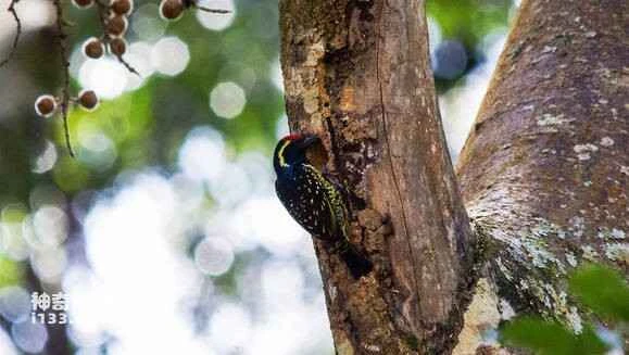 2023051412374082.jpg 92892c176d224f4af6df8dd603f790529922d121_九雷图片转换器.jpg