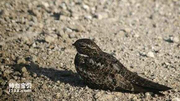 2023041417015007.jpg aaf0d6004a90f603c93f1da23012b31bb151ed38_九雷图片转换器.jpg