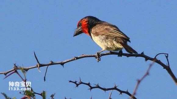 2023051413962688.jpg a1b956dab6fd5266376954d3a118972bd507362e_九雷图片转换器.jpg