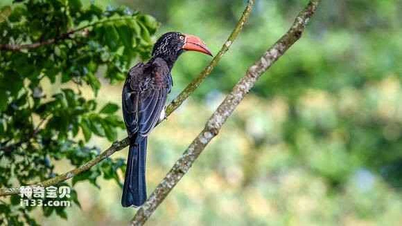 2023050438232203.jpg 6146f80b304e251f55928ac1a986c9177f3e5311_九雷图片转换器.jpg