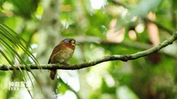 2023051119562541.jpg 3ba7c26fddc451da834a072abcfd5266d1163221_九雷图片转换器.jpg