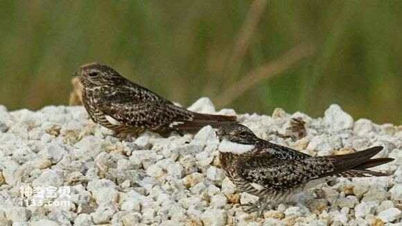 2023041416440373.jpg 2a349d1ebe096b630de3dfb505338744e9f8acd5_九雷图片转换器.jpg