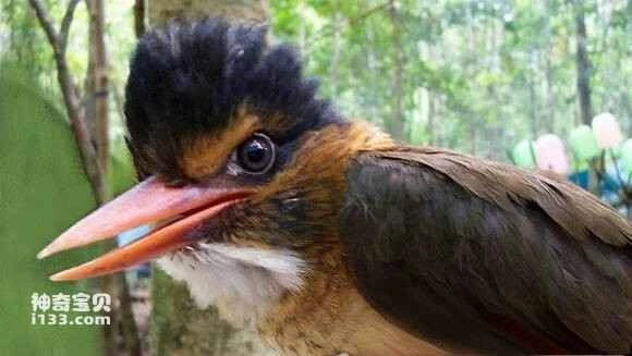 2023042430040596.jpg 6146f80b304e251f3786ad17ac86c9177e3e535b_九雷图片转换器.jpg