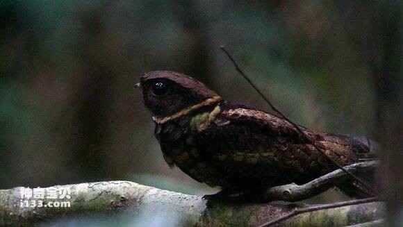 2023041419314530.jpg e62e7f395343fbf2c5f9c6c4b97eca8067388ff7_九雷图片转换器.jpg