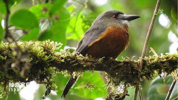 2023051158824220.jpg b151f8dca144ad340cd73244daa20cf430ad8578_九雷图片转换器.jpg