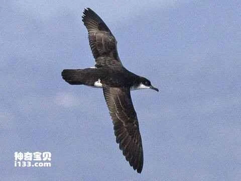 1678522599493994.jpg 37d3d539b6003af33a87e3140c7fd15c103853431830_九雷图片转换器.jpg