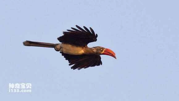 2023050416899095.jpg 6a9f41728bd4b31c9c59fa8289d6277f9e2ff811_九雷图片转换器.jpg