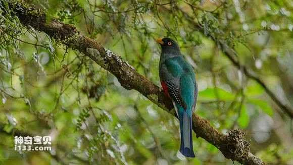 2023041017729538.jpg cbb6d84443a98226f1a537da8082b9014b90eb5e_九雷图片转换器.jpg