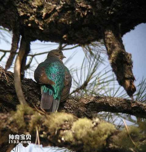 2023040812572242.jpg cab2c98c050dcaa7f11f3676_九雷图片转换器.jpg