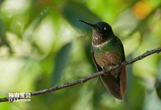 2023033113448588.jpg 4e4a20a4462309f7d2c06e07760e0cf3d7cad67c_九雷图片转换器.jpg