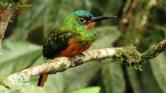 2023050820158427.jpg fac625ec2e738bd4e36caef0ab8b87d6267ff911_九雷图片转换器.jpg