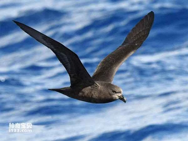 2023031012922592.jpg 8c1001e93901213fb80eb6ddc3b121d12f2eb9383f21_九雷图片转换器.jpg