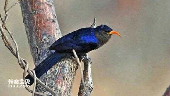 2023042024504555.jpg 00d6292209f79052c1f83ed806f3d7ca79cbd5e0_九雷图片转换器.jpg