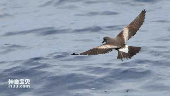 2023031519213259.jpg cb8a754d510fd9f93b07aab72f2dd42a2934a454.jpg