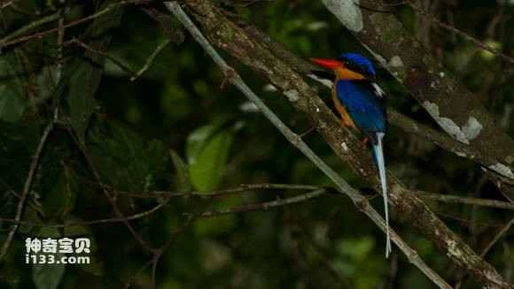 2023042515222024.jpg b49c9f1e3a292df5de0d59c5b7315c6036a87383_九雷图片转换器.jpg